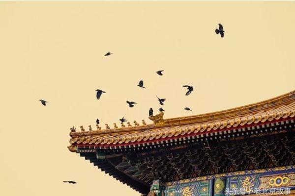 Vì sao du khách phải rời Tử Cấm Thành lúc 5 giờ chiều?-3