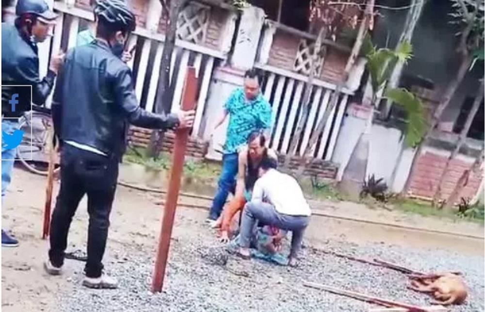 Chó Pitbull nhiều lần cắn chết người, tại sao còn thiếu cảnh giác?-3