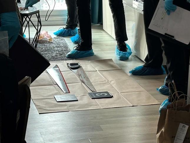 Doanh nhân sát hại bạn gái người mẫu, dùng Google dịch phi tang thi thể-5