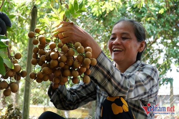 Cận cảnh căn nhà đơn sơ của Hoa hậu Ngọc Châu-16