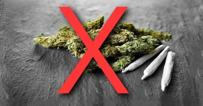 Nam sinh lớp 9 nhập viện cấp cứu sau khi thử cỏ Mỹ bán gần trường-1