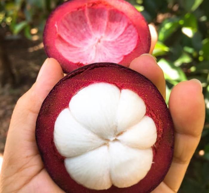 Cách bổ măng cụt không cần dùng dao cực đơn giản-4