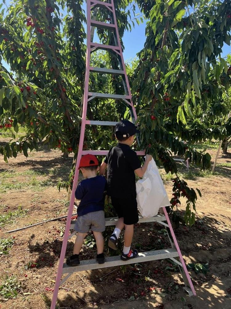 Quý tử nhà Hoa hậu Phạm Hương mới 5 tuổi sống chuẩn rich kid-1