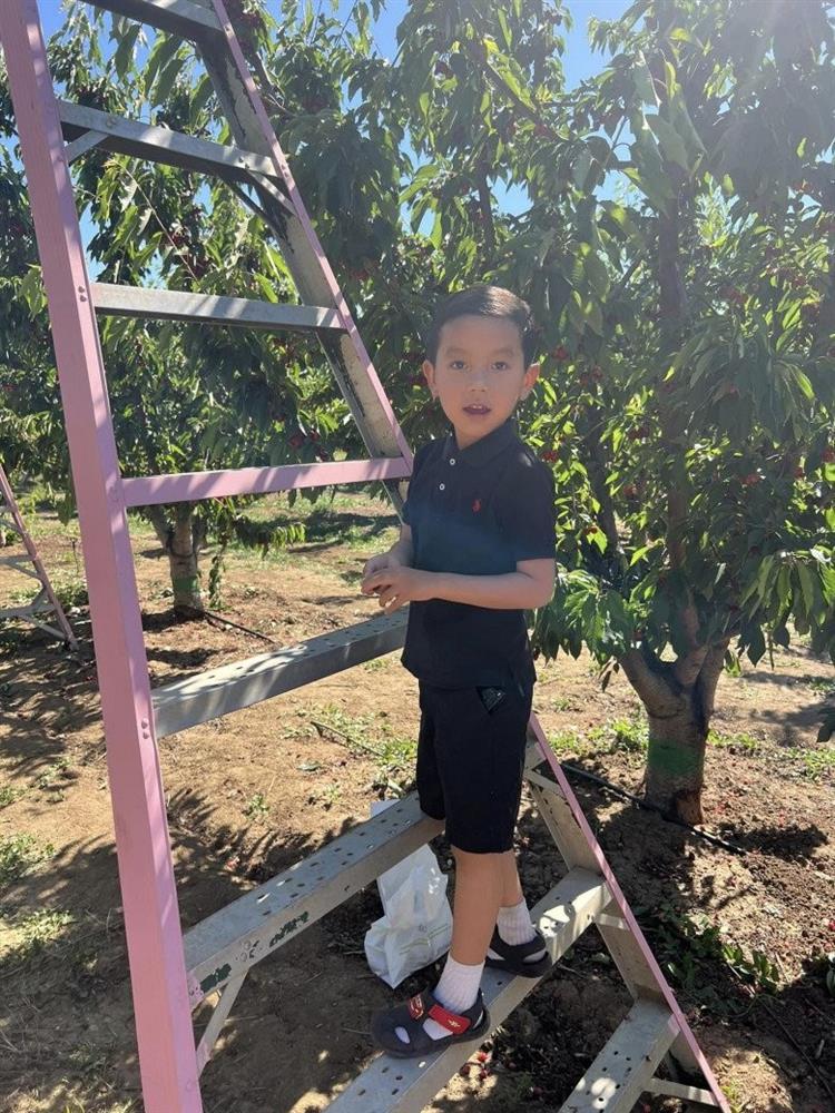 Quý tử nhà Hoa hậu Phạm Hương mới 5 tuổi sống chuẩn rich kid-2