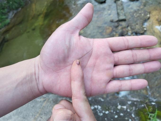 Vợ chồng trẻ cãi nhau, chạy xe 70km chỉ vì đu trend gỏi gà măng cụt-1