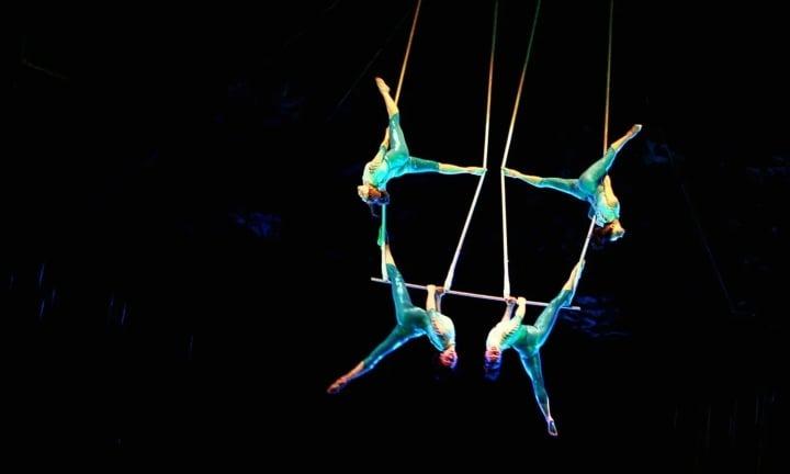 Tai nạn kinh hoàng sân khấu xiếc: Thú dữ tấn công, mất mạng vì ngã từ độ cao 30m-2