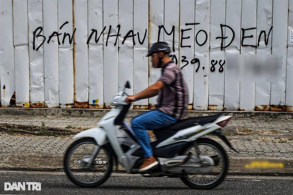 Nhau mèo đen hút tài lộc, chữa nhiều bệnh được bán giá tiền triệu-1