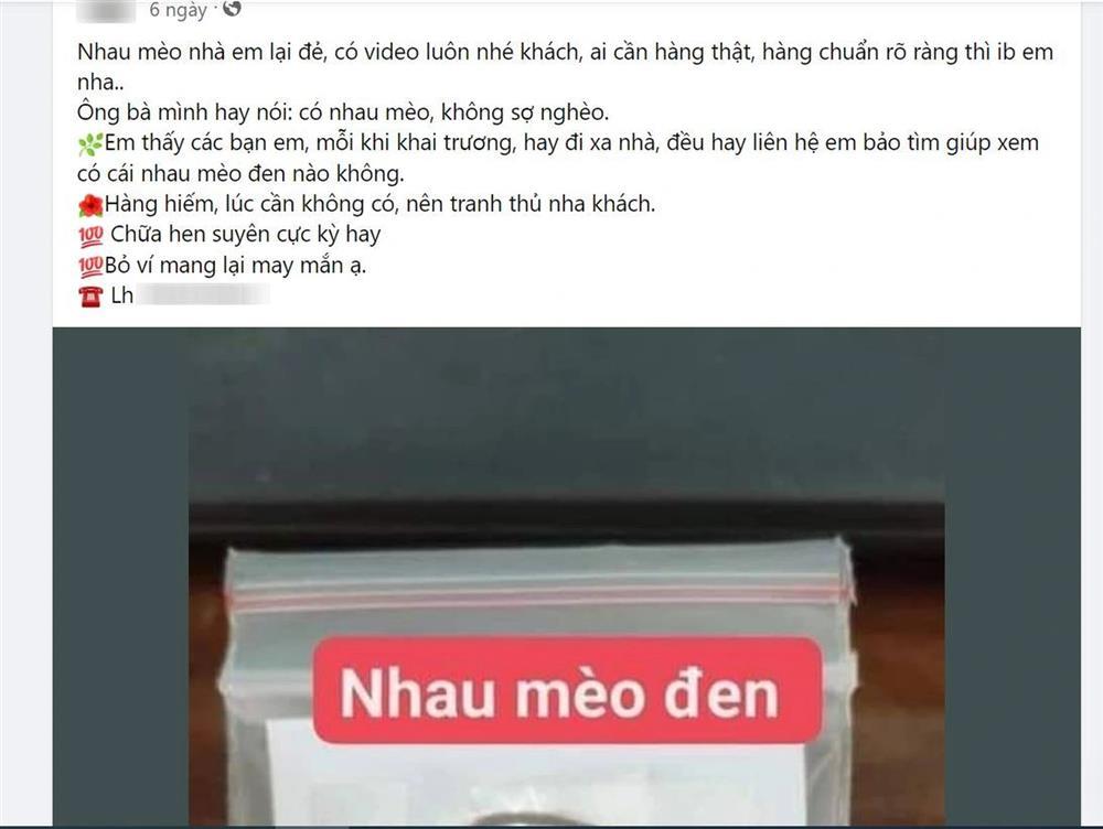 Nhau mèo đen hút tài lộc, chữa nhiều bệnh được bán giá tiền triệu-2