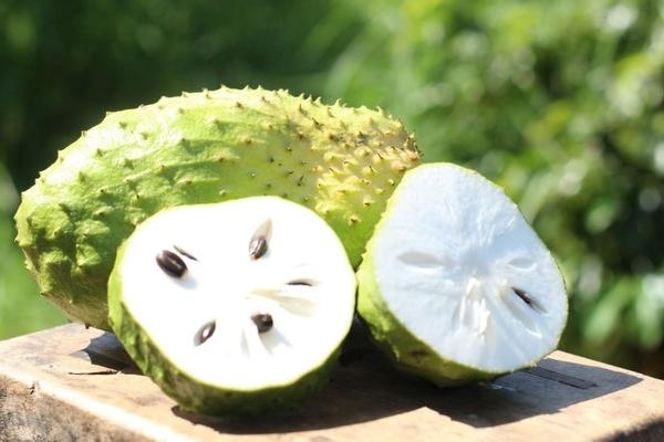 Mãng cầu Xiêm sốt điên đảo cõi mạng, 3h sáng khách xếp hàng tranh mua-5