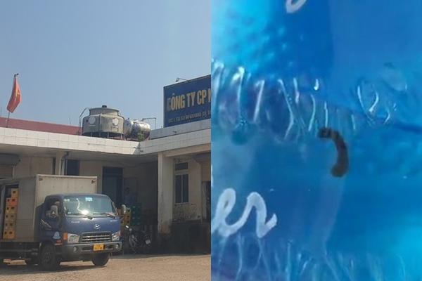 Giải cứu thiếu nữ khuyết tật 3 lần bị bán vào quán karaoke-3