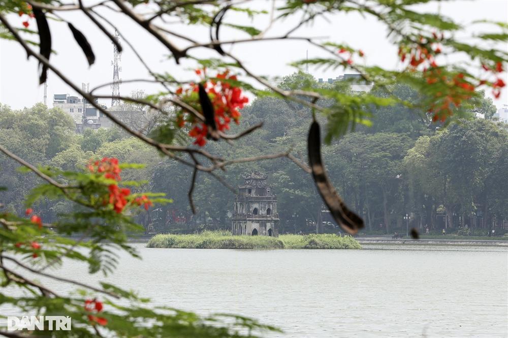 Nắng nóng khiến phố đi bộ hồ Gươm chỉ có khách tây, vắng bóng người Việt-11