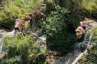 Rùng mình cảnh khách Tây ôm nhau nhảy xuống thác Du Già ở Hà Giang