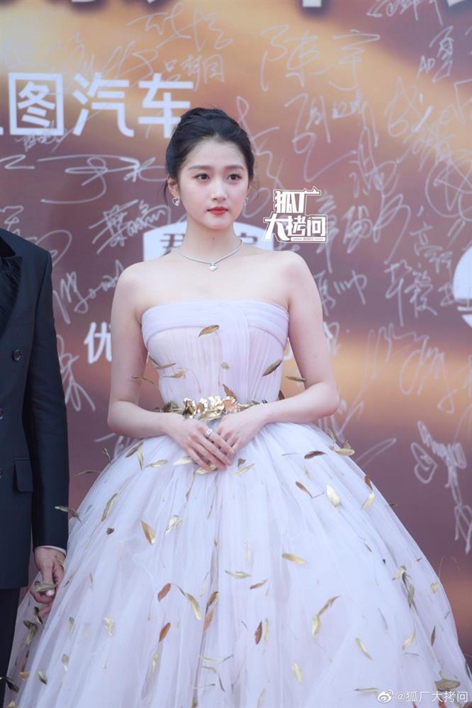 Thảm đỏ Hoa Biểu quy tụ dàn sao Cbiz-3