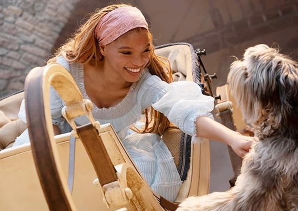 Phản ứng trái chiều với Nàng Tiên Cá phiên bản da màu bị chê kém sắc-4