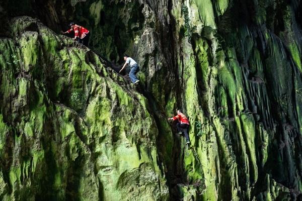 Kỳ lạ, nhện đực ‘lột da’ nhện cái trước khi yêu-2