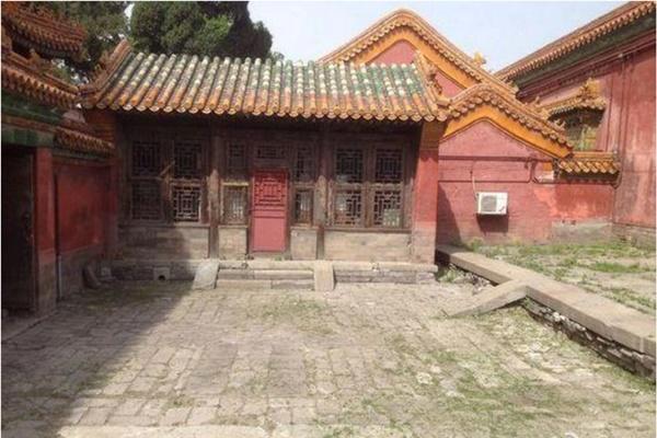 Trăn hai mét trườn vào hồ ngọc lục bảo, du khách bỏ chạy tán loạn-3