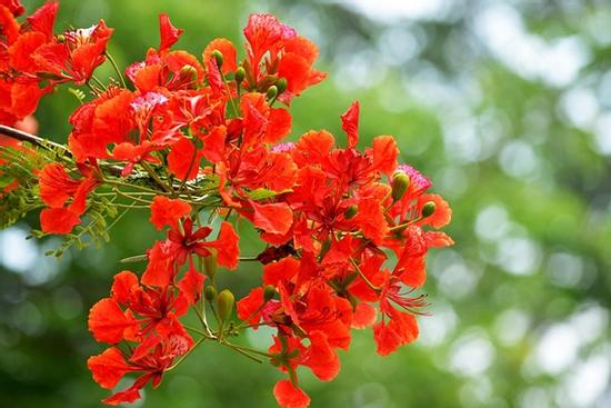 Chia tay hôn nhau giữa sân trường, các con đừng làm việc tầm thường