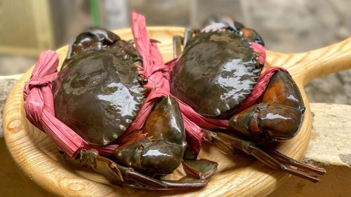 Cách phân biệt cua đực và cua cái ra sao?-1