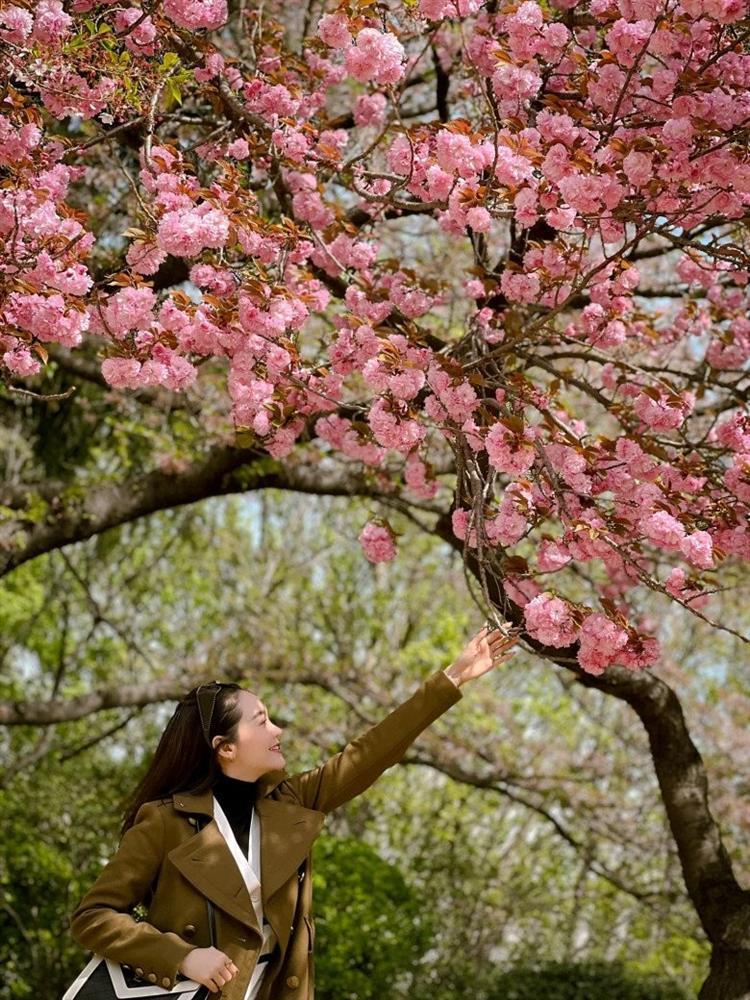 Chồng Minh Hằng chỉ được ăn sáng cùng vợ khi đi du lịch dù chi 20 triệu/đêm villa-8