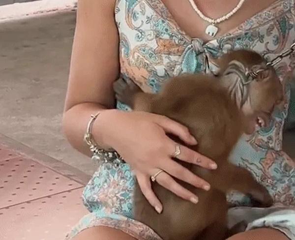 Khách Tây khóc hết nước mắt trải nghiệm kiểu giải trí tàn nhẫn ở Thái Lan-2