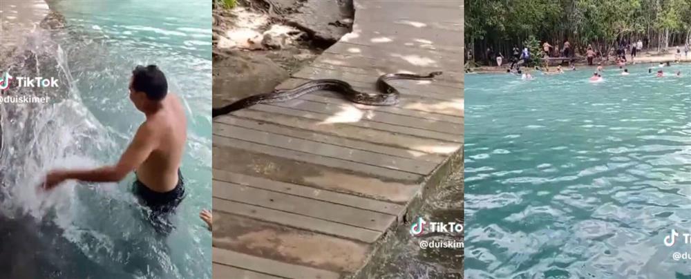 Trăn hai mét trườn vào hồ ngọc lục bảo, du khách bỏ chạy tán loạn-1