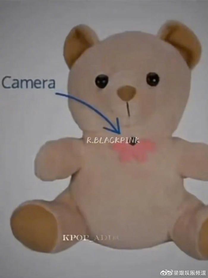Pha xử lý gọn gàng của Lisa trước món quà có gắn camera theo dõi-2