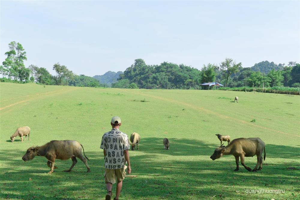 Thảo nguyên mới nổi cách Hà Nội 120km hút khách cắm trại-4