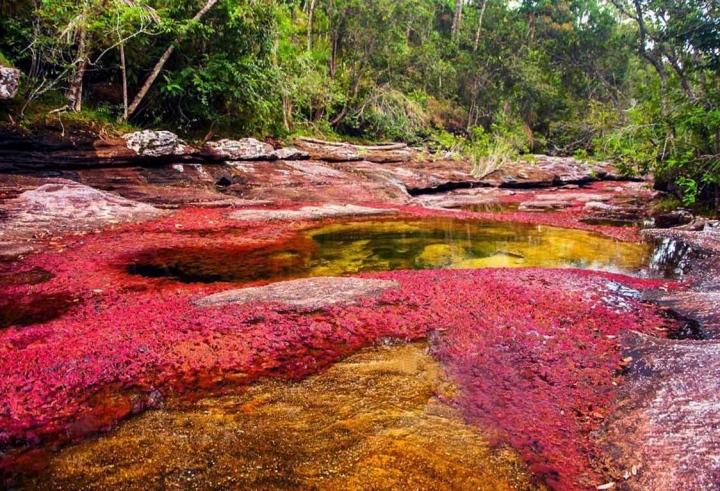 Ấn tượng 6 cảnh quan thiên nhiên độc đáo và kỳ lạ nhất thế giới-2