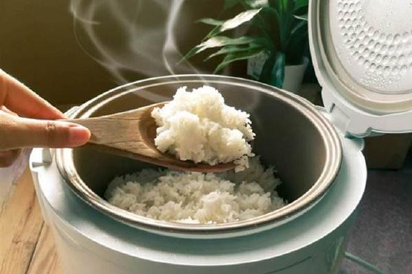 Bí quyết giúp tiết kiệm điện khi sử dụng nồi cơm điện-1