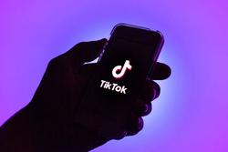 Bộ Thông tin và Truyền thông: TikTok có thể sẽ bị cấm ở Việt Nam nếu không hợp tác
