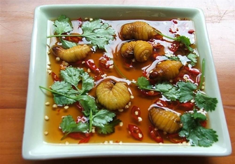 Những loại sâu bọ độc nhất vô nhị đắt đỏ, thực khách săn lùng-1