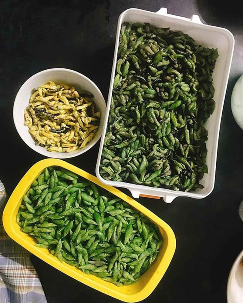 Những loại sâu bọ độc nhất vô nhị đắt đỏ, thực khách săn lùng-5