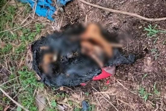 VIDEO: Kinh hoàng vụ án phân xác ở Bình Dương