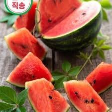 Lạ lùng dưa hấu baby: Quả nhỏ siêu xinh nhưng cũng siêu đắt-1