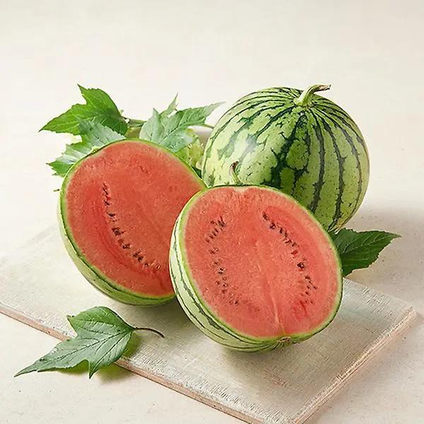 Lạ lùng dưa hấu baby: Quả nhỏ siêu xinh nhưng cũng siêu đắt-3