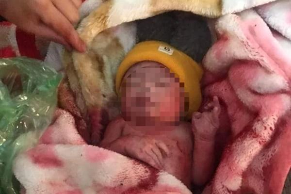 Lời thú nhận bất ngờ vụ bé sơ sinh bị kiến bu khắp người-1