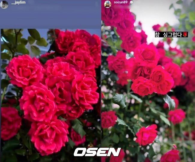 Kim So Eun và tài tử Mặt Trăng Ôm Mặt Trời lên tiếng về tin hẹn hò-2