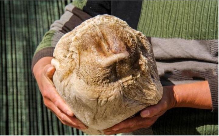 Nhặt tảng đá mềm như bông, lão nông ngỡ ngàng khi chuyên gia nói quý hơn vàng-1