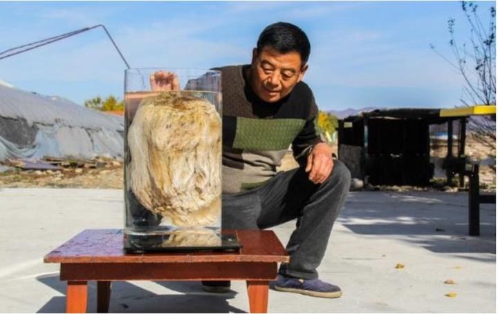 Nhặt tảng đá mềm như bông, lão nông ngỡ ngàng khi chuyên gia nói quý hơn vàng-2