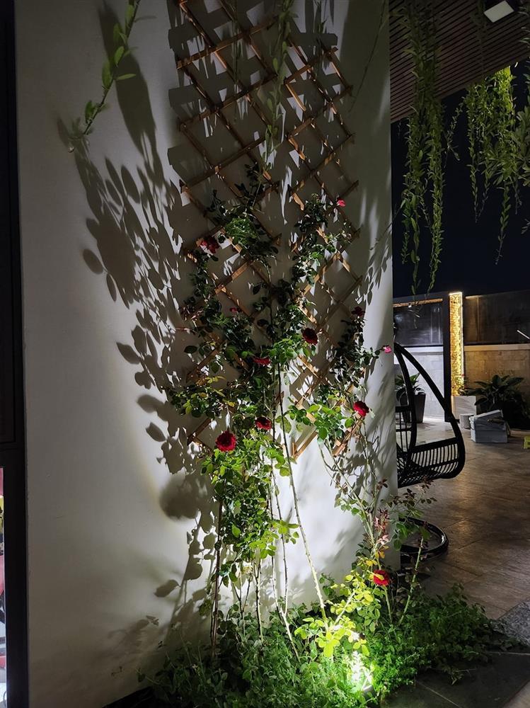 Đàn con Quách Thành Danh nô đùa trong biệt thự 30 tỷ, ai nhìn cũng khao khát sở hữu-9