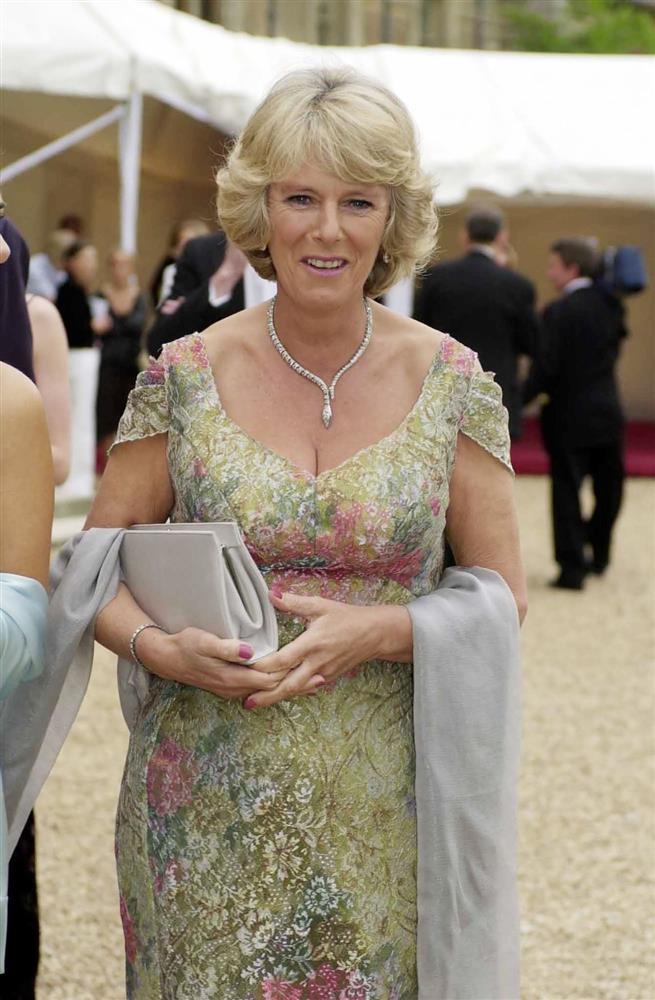 Ngoại hình Hoàng hậu Camilla trong hơn 4 thập kỷ qua-10