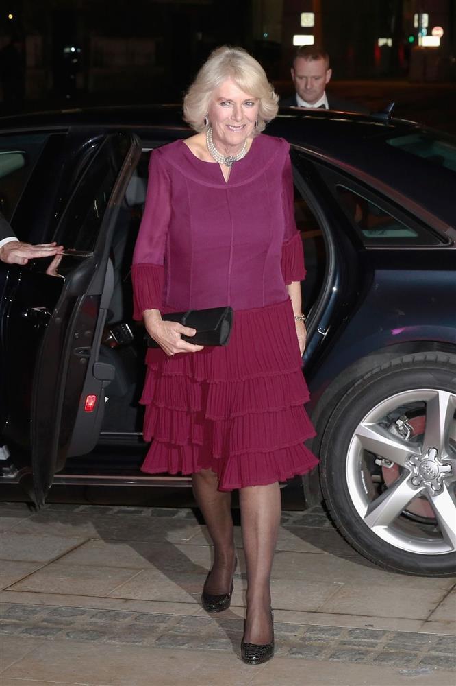 Ngoại hình Hoàng hậu Camilla trong hơn 4 thập kỷ qua-20