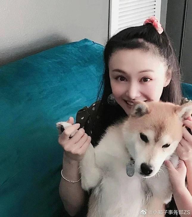 Sự nghiệp bị đóng băng, ngoại hình thay đổi khó nhận ra: Trịnh Sảng còn gì?-2