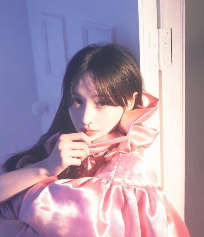 Sự nghiệp bị đóng băng, ngoại hình thay đổi khó nhận ra: Trịnh Sảng còn gì?-5