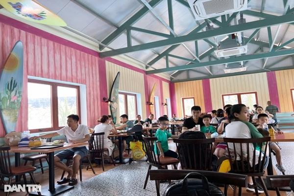 Ăn rau kinh giới có tốt không?-2