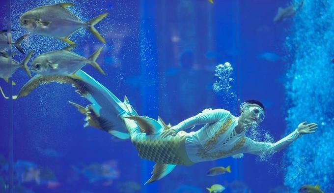 Bị chê bai, quấy rối tình dục khi làm nghề tiên cá nam-2