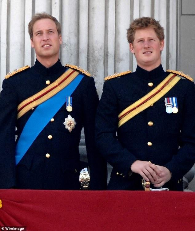 Bức tranh vẽ anh em William và Harry bị loại bỏ-2