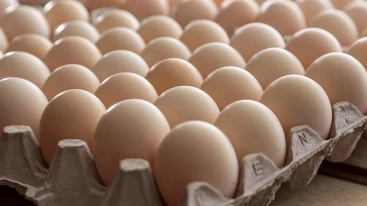 Vì sao các nhà khảo cổ lại sợ trứng gà khi khai quật mộ cổ?-1