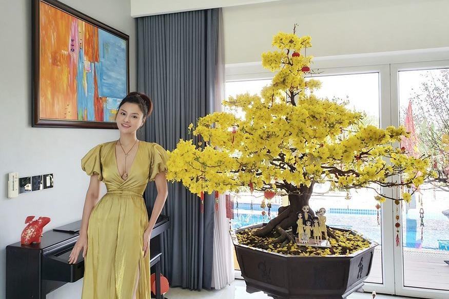 Trước Vũ Thu Phương, Hồ Ngọc Hà cùng nhiều sao Việt bị trộm vàng và hàng tỷ đồng-8