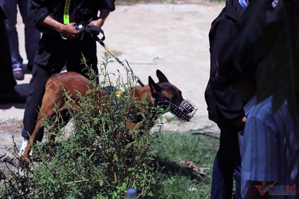 5 ngày trốn chạy trong đói khát của nghi can gây thảm án ở Khánh Hòa-5